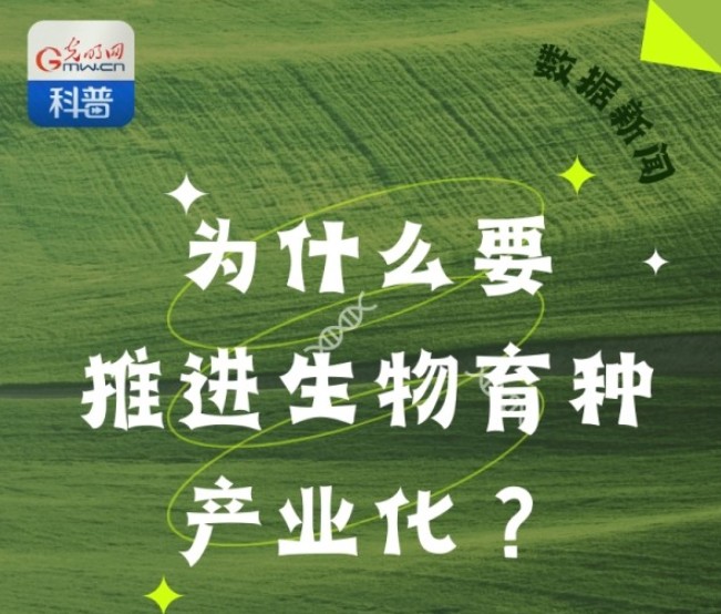 长图丨为什么要推进生物育种产业化？